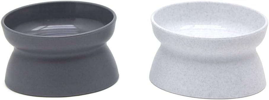 10 Best Raised Cat Bowls for Healthy Eating Posture