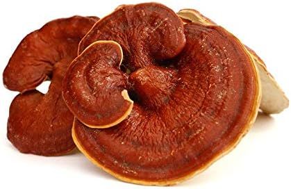 No. 8 - Reishi Mushroom Grow Kit - 2