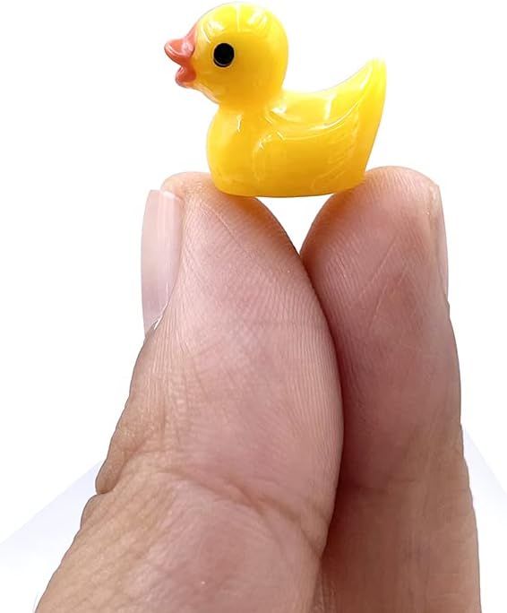 No. 6 - Mini Resin Ducks - 2