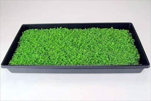 No. 9 - Living Whole Foods 10 Plant Growing Trays - 4