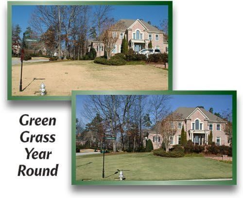 No. 2 - EnviroColor 4Evergreen Grass & Turf Paint - 3