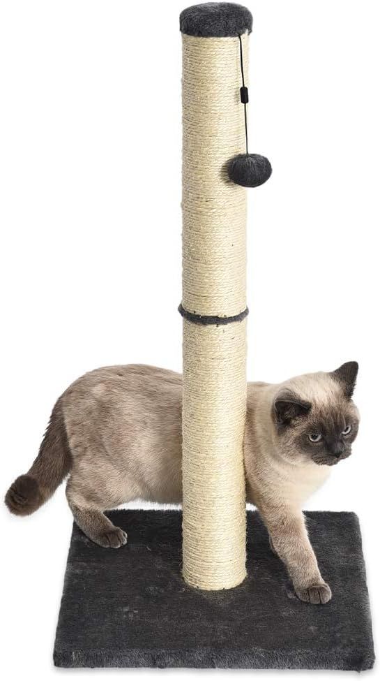 10 Best Cat Scratching Posts for Happy and Healthy Cats