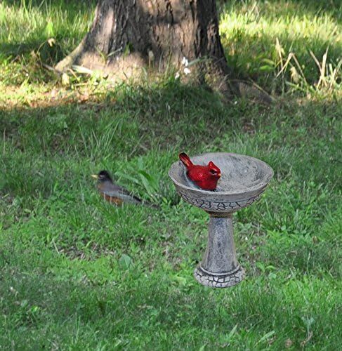 No. 10 - Cardinal Birdbath - 4