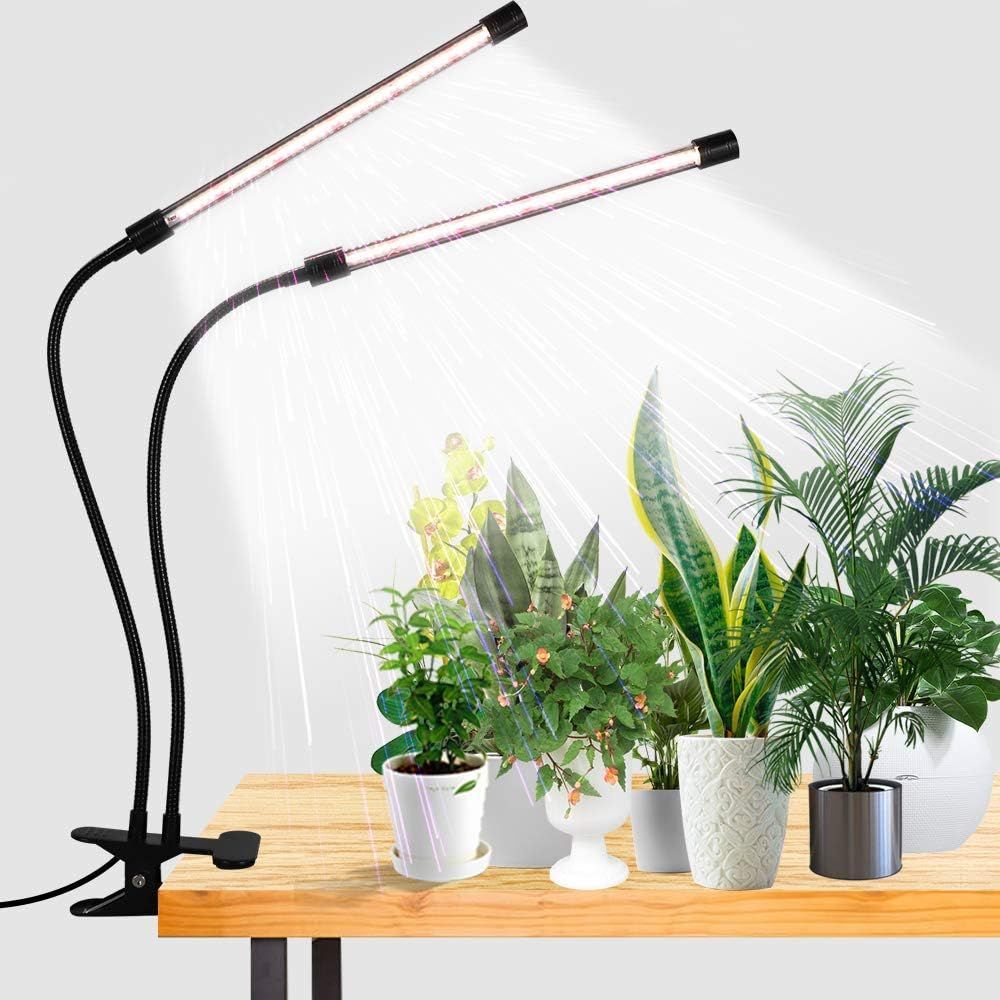 Top 10 Best Plant Growing Lamps for Indoor Plants