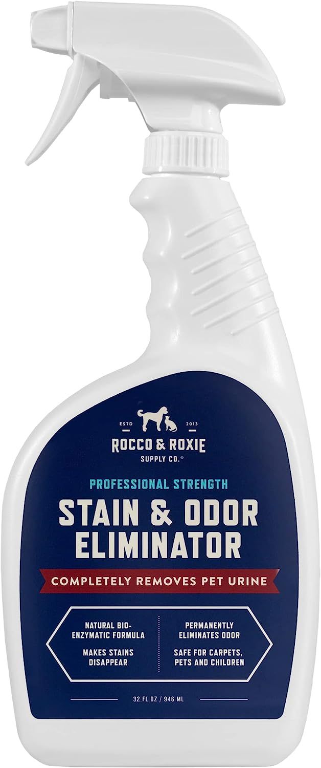 Top 10 Best Pet Odor and Stain Removers