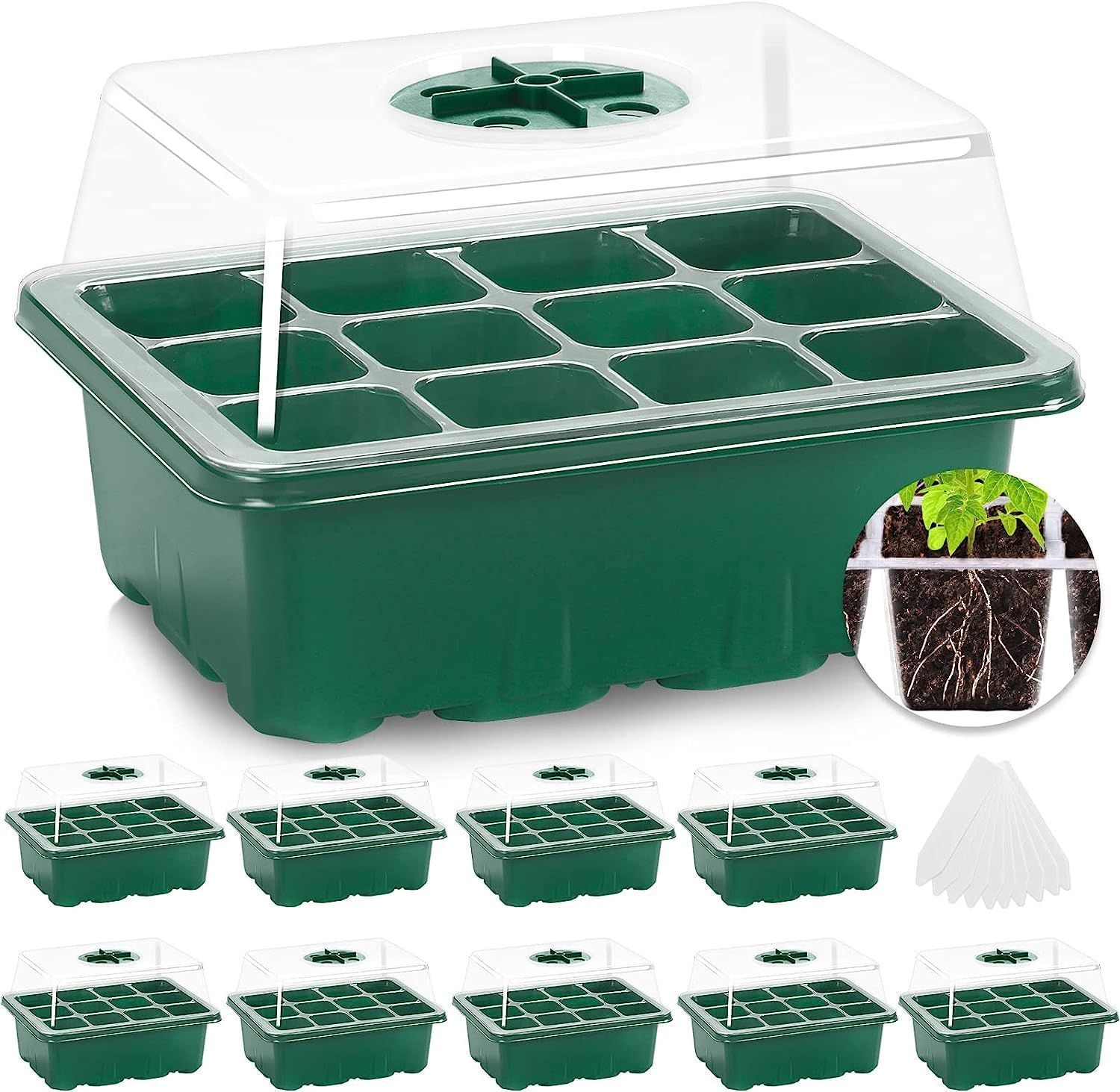 Best Seed Starter Trays for Efficient Plant Germination