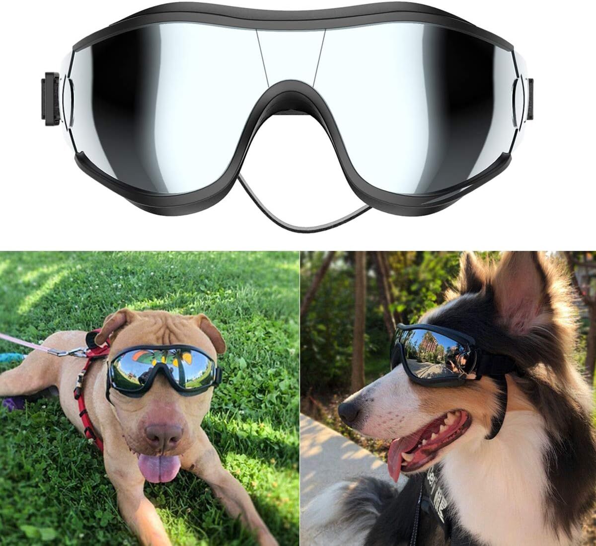 Top 10 Best Dog Sunglasses for Your Furry Friend