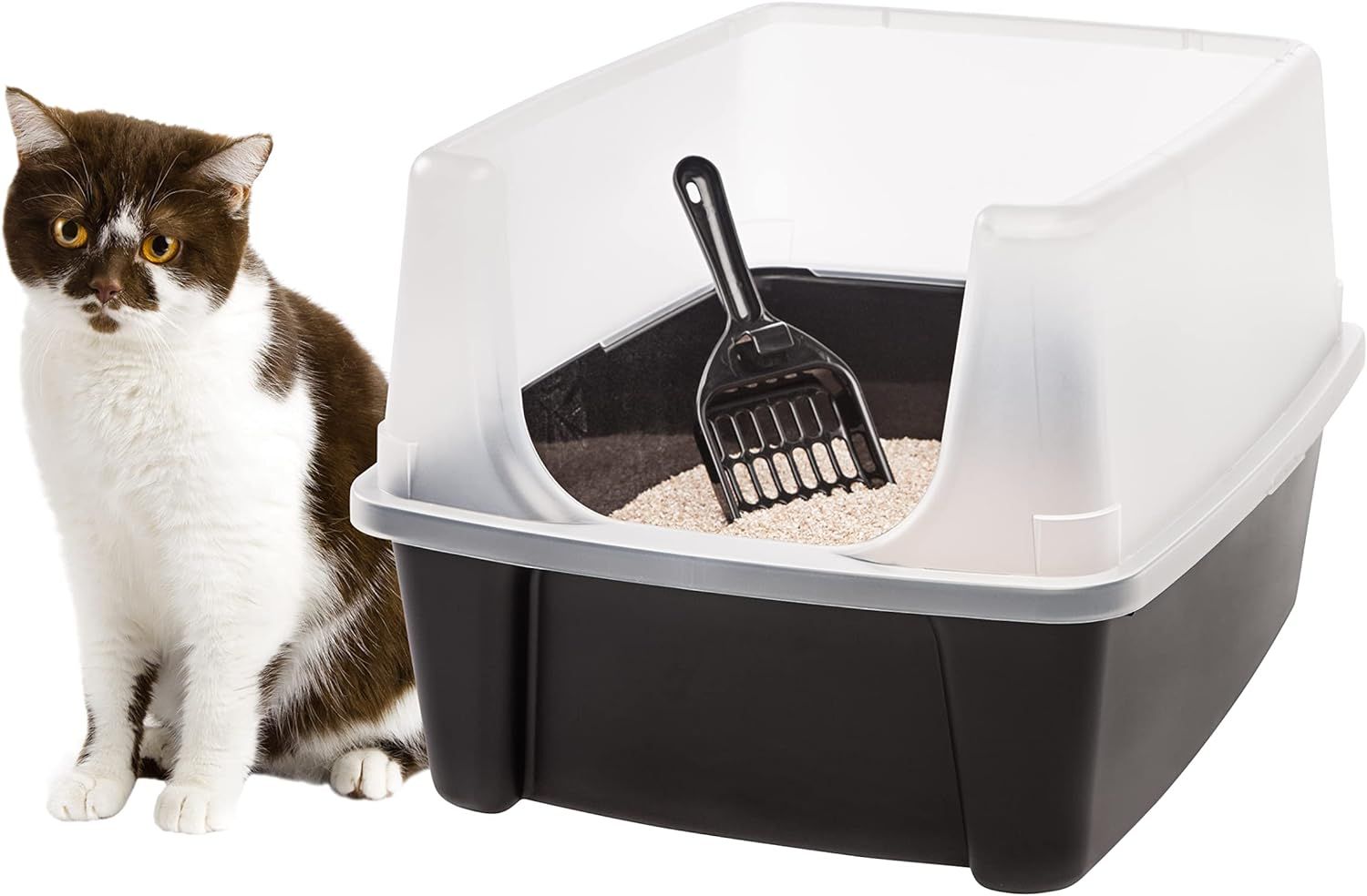 10 Best Cat Litter Boxes for Standard Cat Litter Boxes