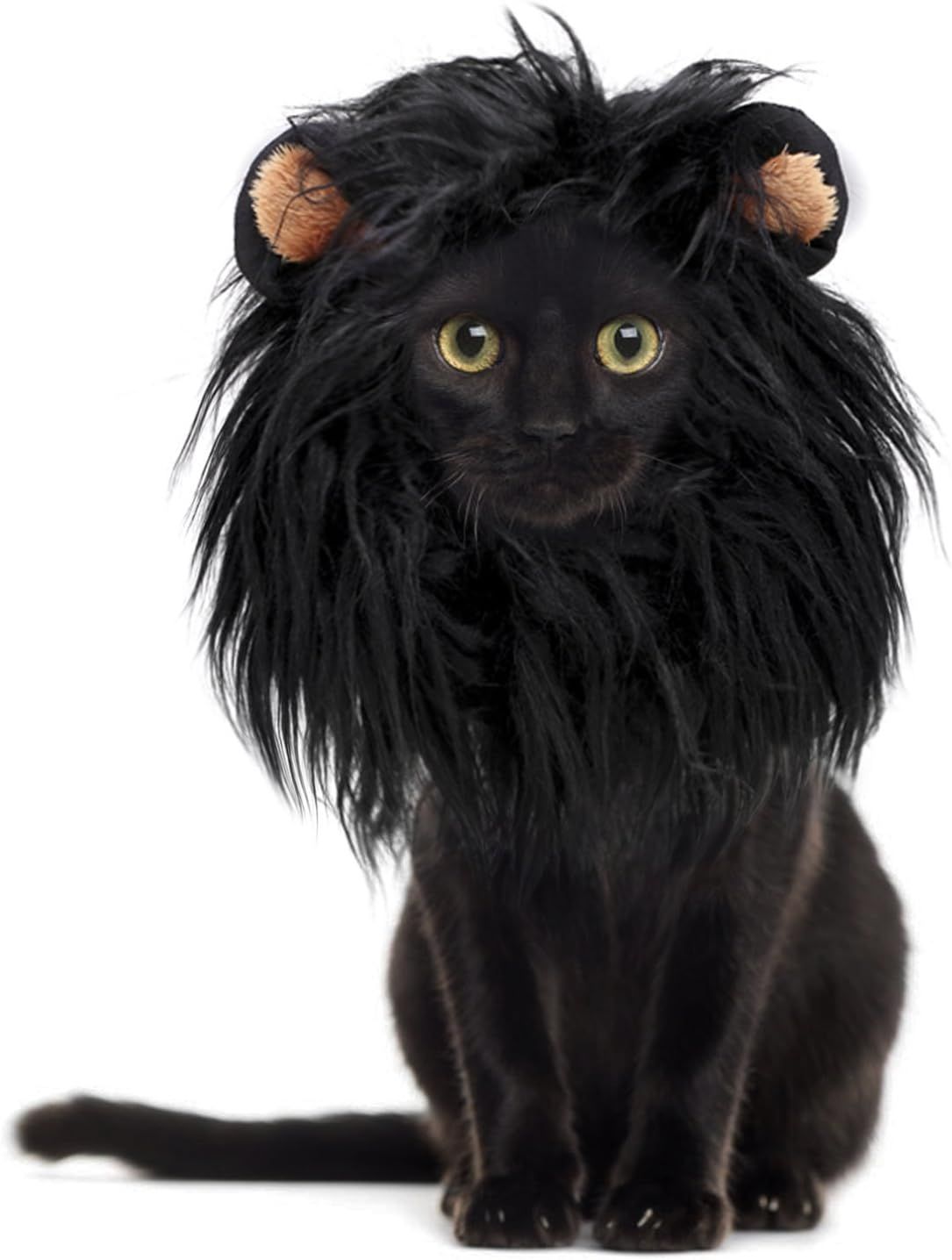 10 Best Pet Costumes for Cats and Dogs