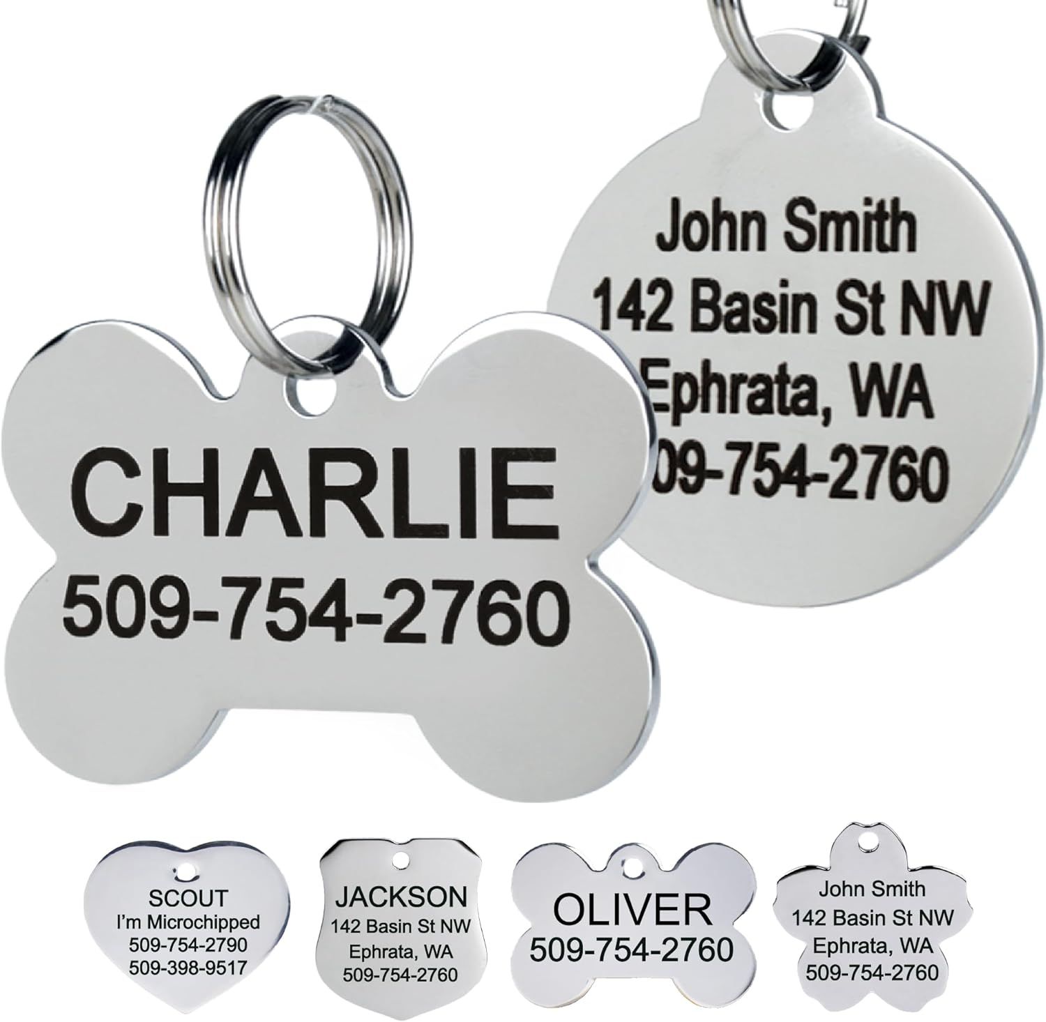 Top 10 Best Pet ID Tags for Dogs and Cats