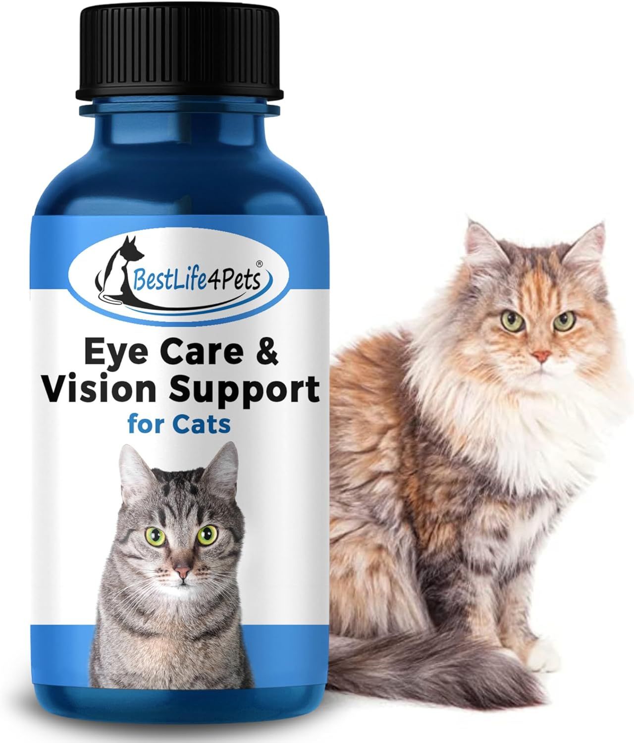 The Top 5 Best Eye Care Supplies for Cats