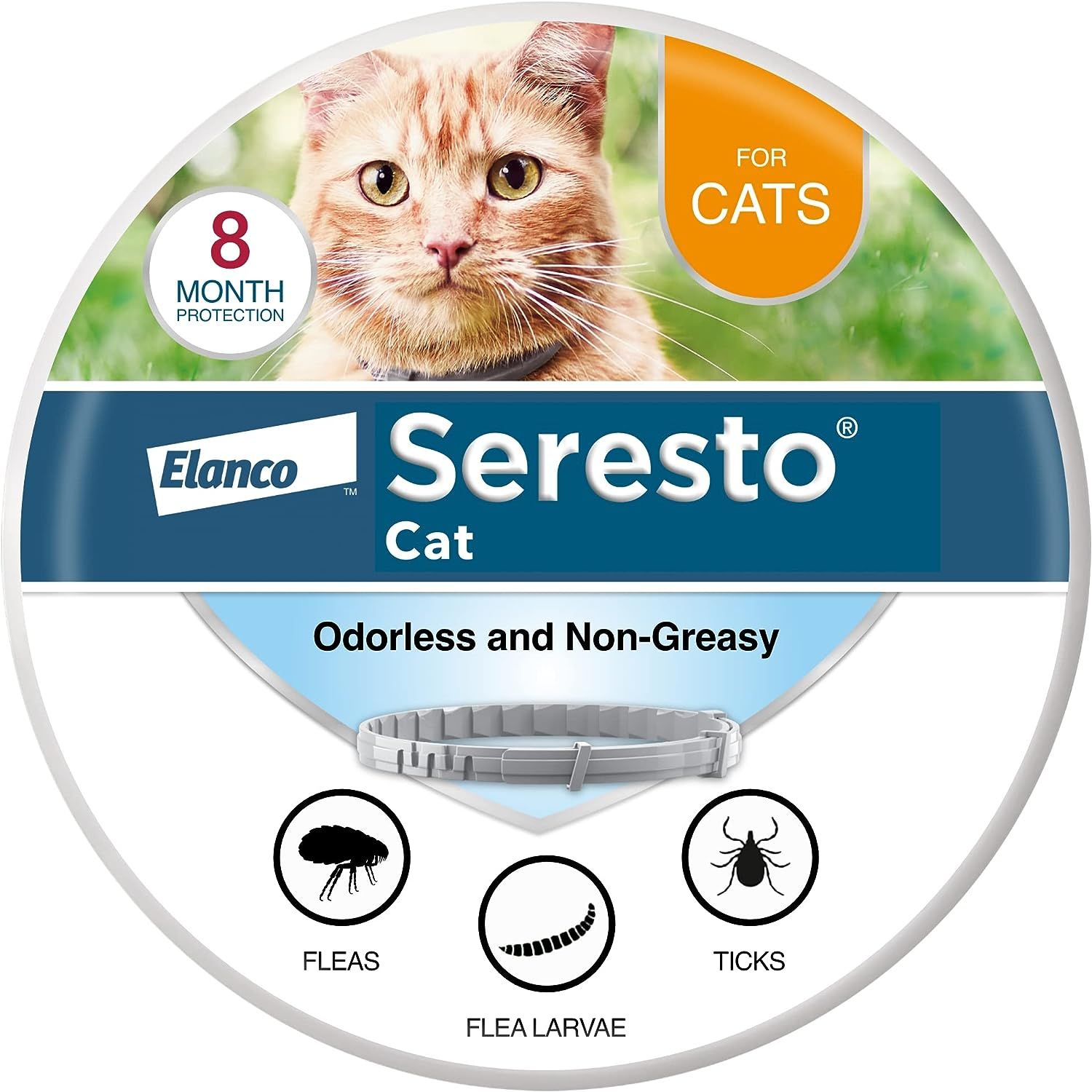 Top 10 Cat Flea Treatments and Tick Prevention Products