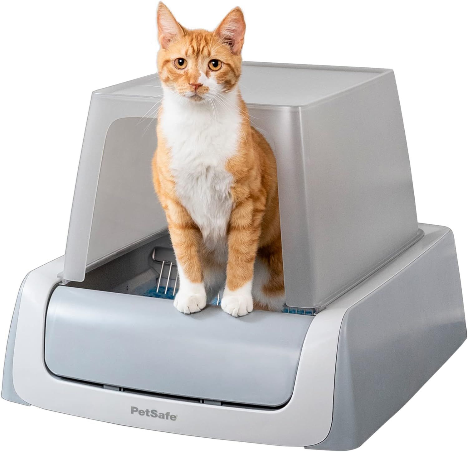 10 Best Self-Cleaning Cat Litter Boxes of [current year]