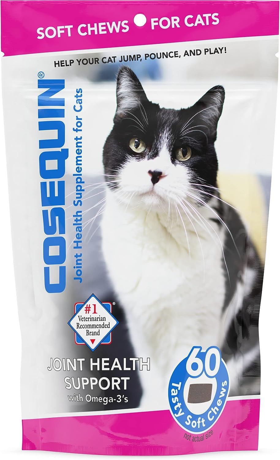 Top 10 Best Cat Joint Health Supplements for Happy and Healthy Felines