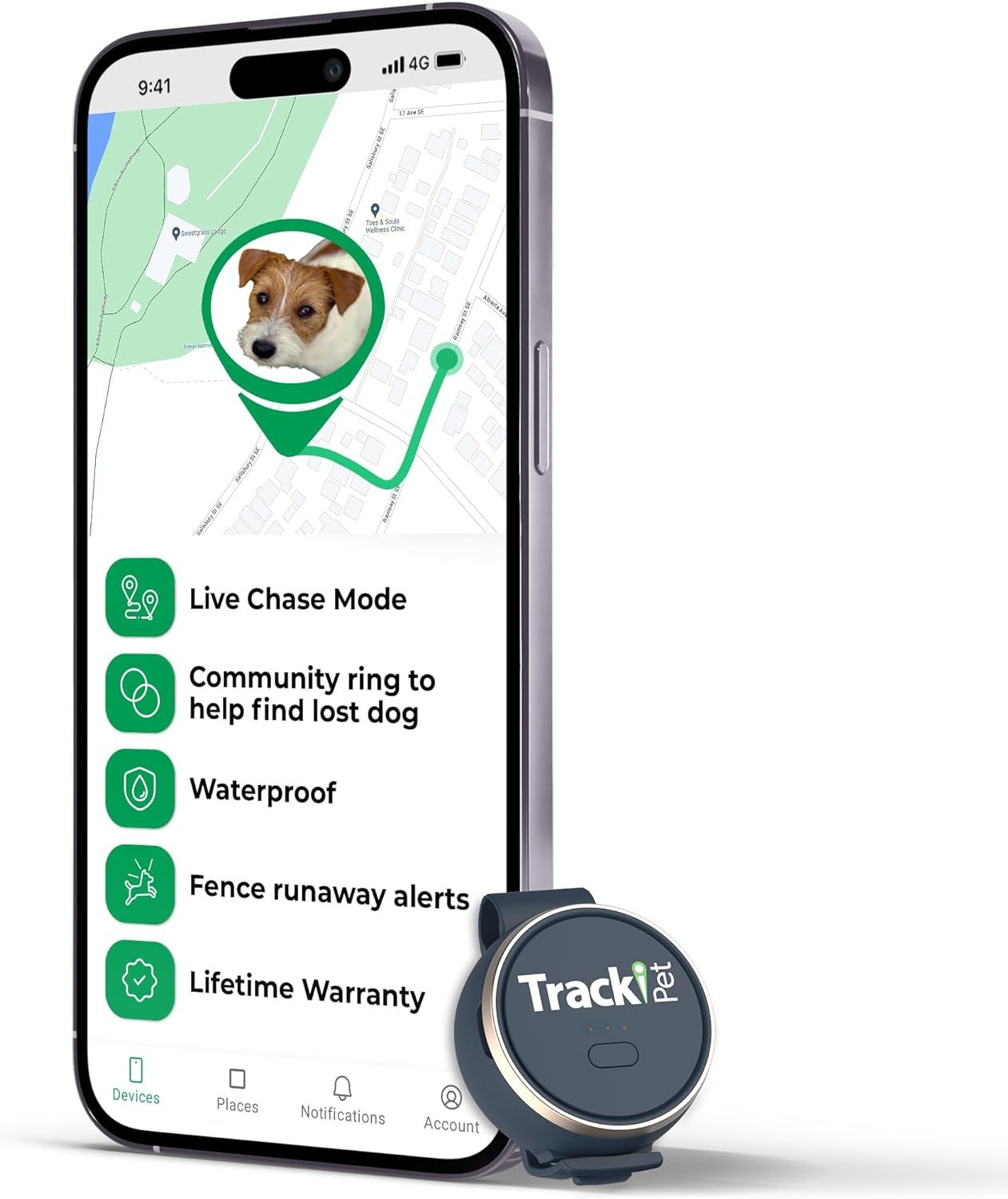 Top 10 Best Pet Trackers of the Year