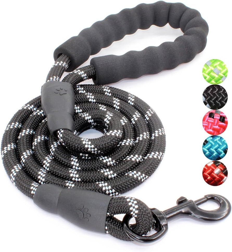 Top 10 Best Dog Leashes for Safe and Enjoyable Walks