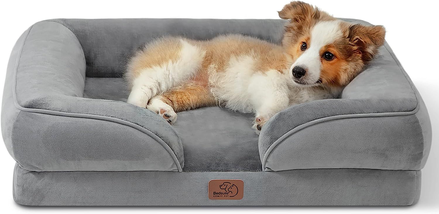 10 Best Dog Beds for Comfort and Support