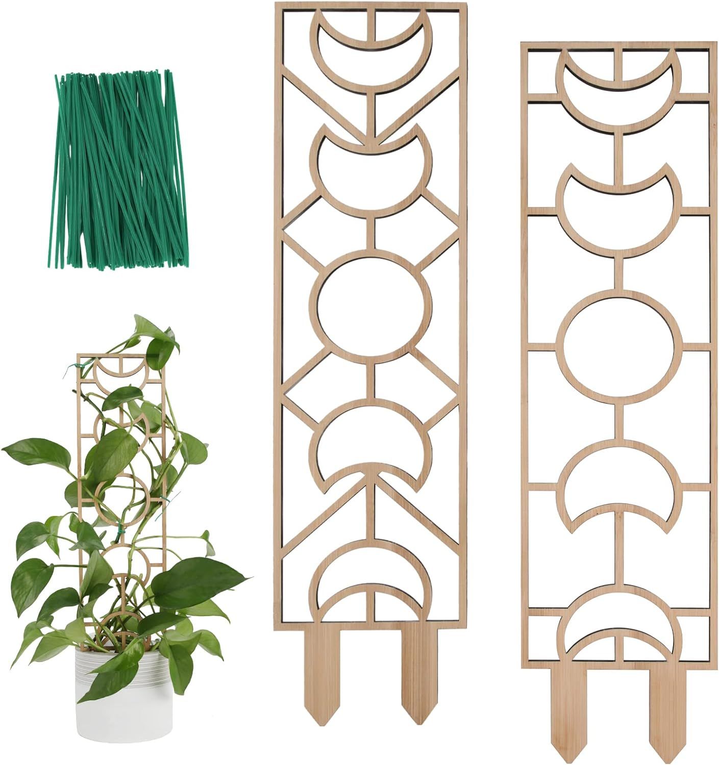 Top 10 Garden Trellises for Your Plant Support Needs