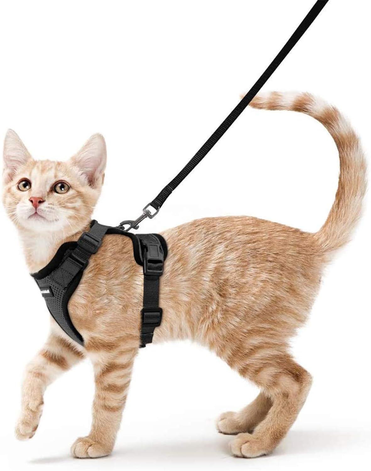 Top 10 Cat Collars, Harnesses & Leashes for Safe and Enjoyable Outdoor Walks