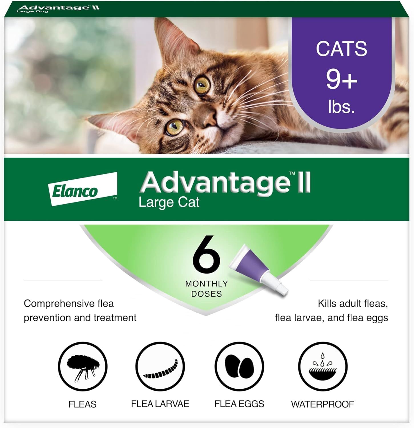 Top 10 Best Cat Flea Drops: Effective and Affordable Solutions for Flea Treatment