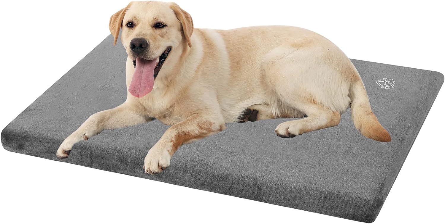 10 Best Dog Bed Mats for a Clean and Comfortable Home