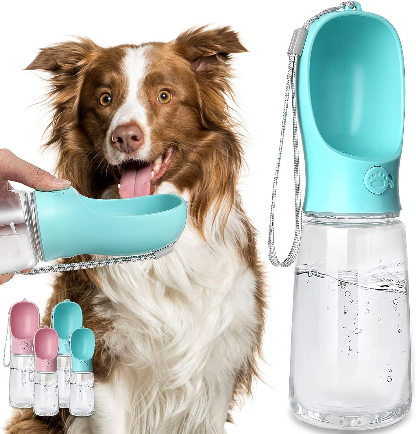 Top 10 Best Dog Water Bottles for Hydration on the Go