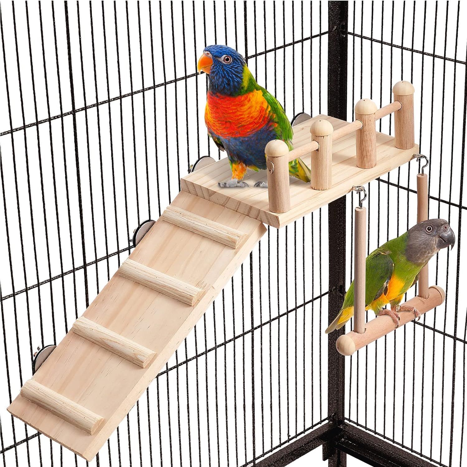 Top 10 Best Bird Ladders for Small and Medium Birds