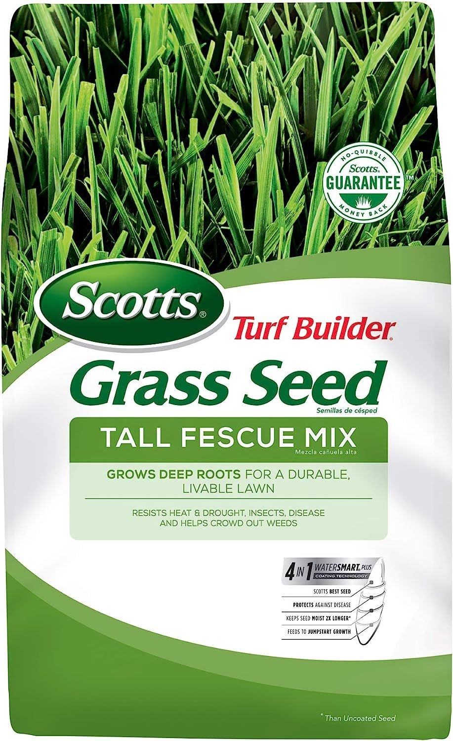 Top 10 Best Grass Seed Products for a Lush and Healthy Lawn