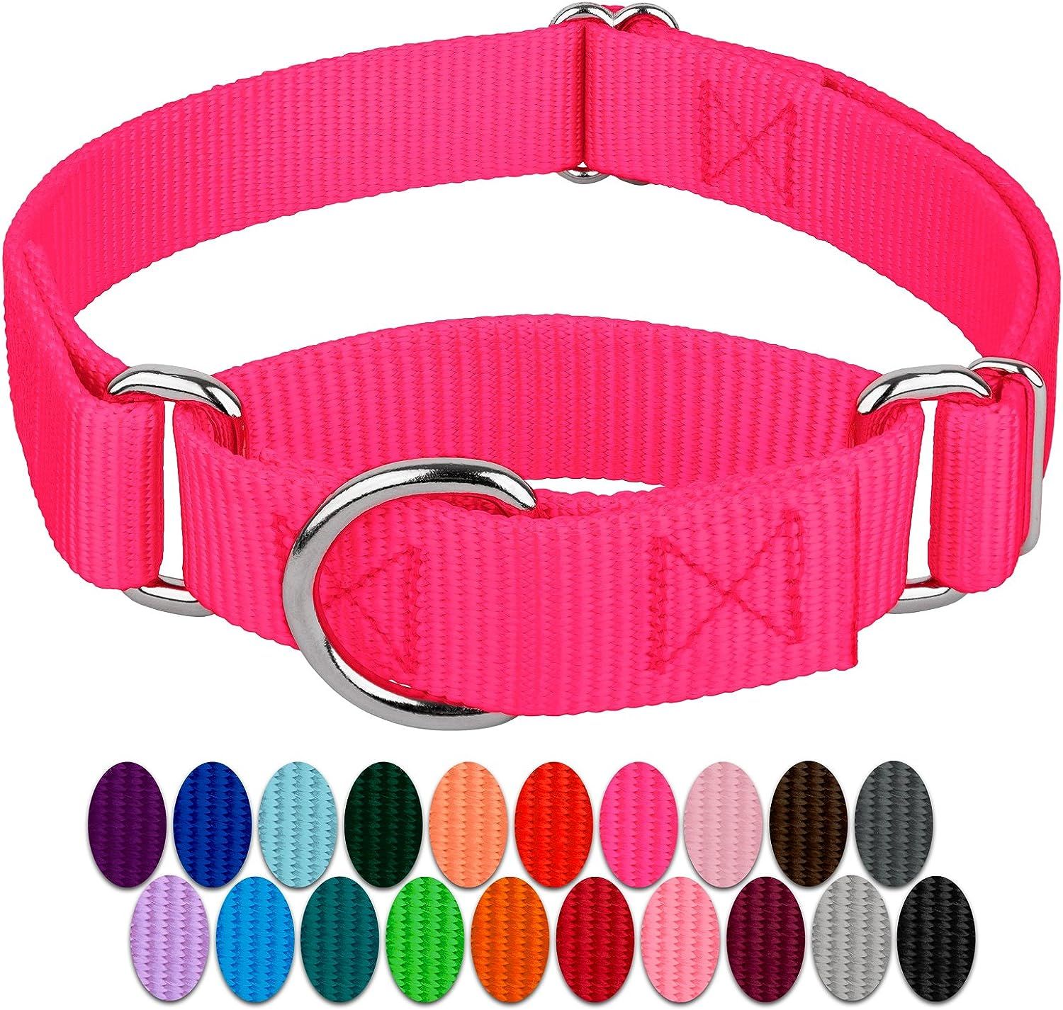 Top 10 Best Martingale Collars for Dogs