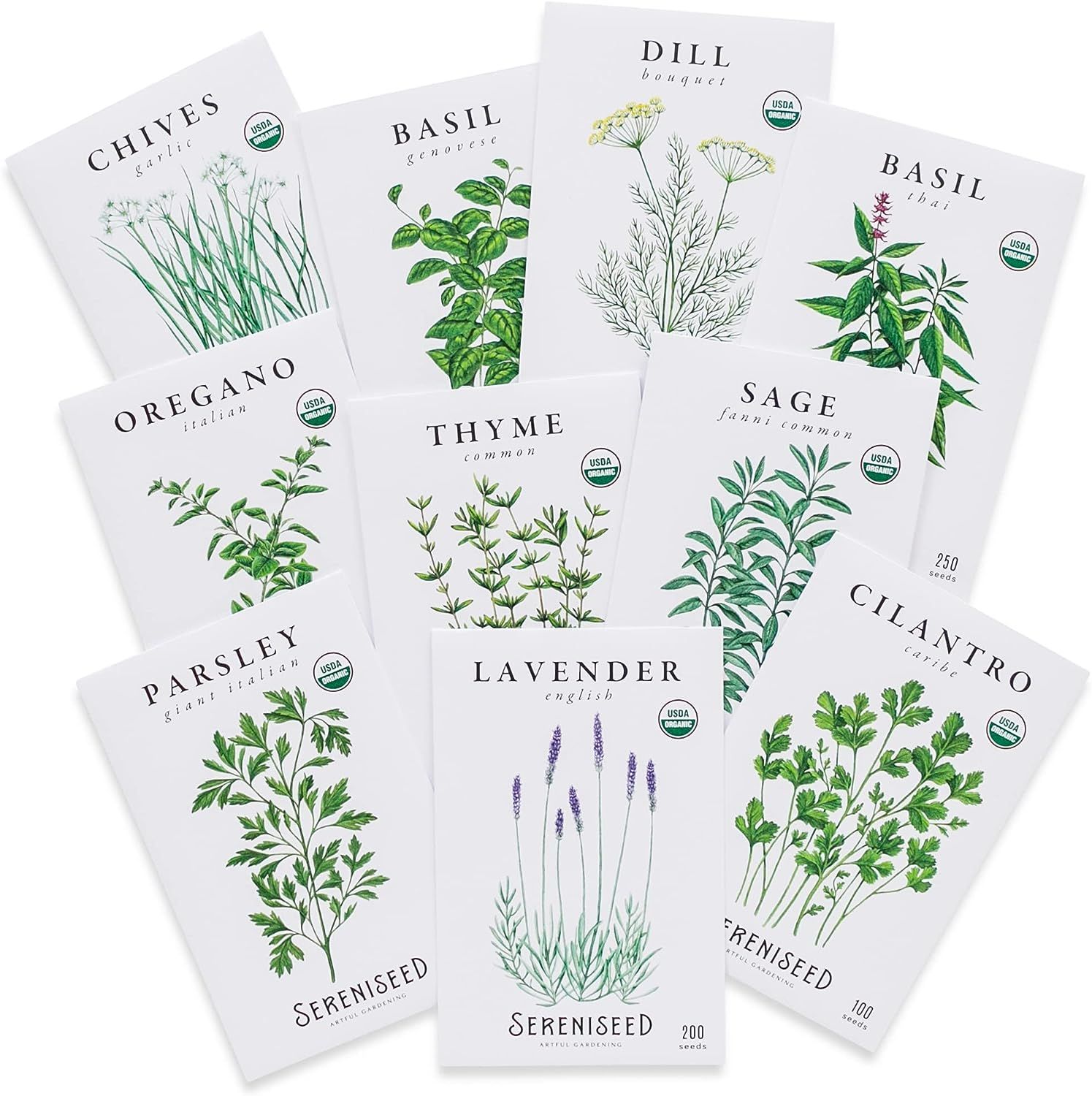 Top 10 Best Organic Herb Seeds for Indoor and Outdoor Planting