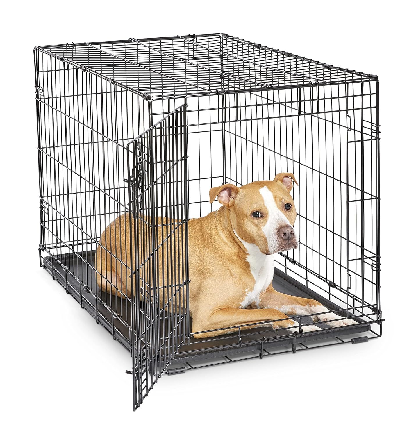 Top 10 Dog Crates for Safe and Secure Pet Homes