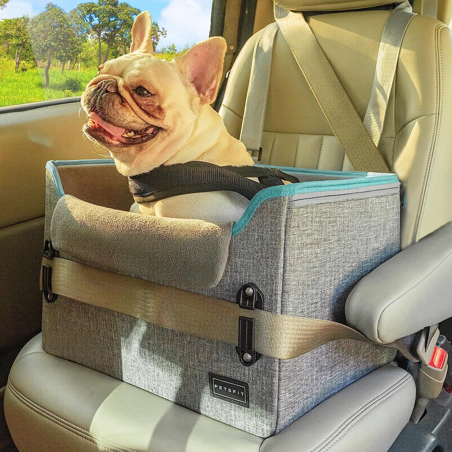 10 Best Pet Booster Seats for Traveling with Your Furry Friend