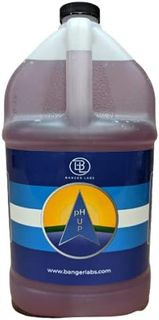 No. 9 - Banger Labs Premium pH Up Solution - 1