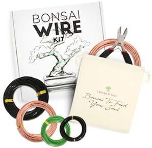 No. 5 - Leaves and Soul Bonsai Training Wire - 5