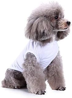 No. 2 - Chol&Vivi Dog Shirts Clothes - 4