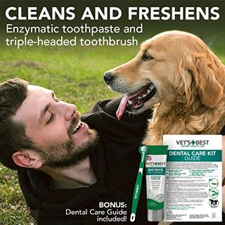 No. 1 - Vet's Best Dog Toothbrush & Enzymatic Toothpaste Kit - 4