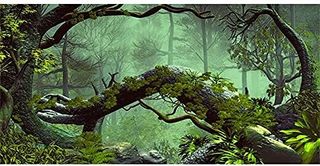 No. 10 - AWERT Foggy Forest Terrarium Background - 1