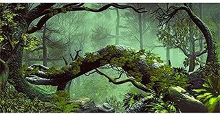 No. 10 - AWERT Foggy Forest Terrarium Background - 2