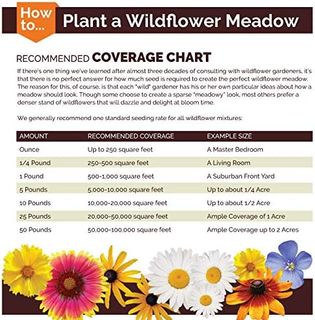 No. 6 - Eden Brothers All Perennial Wildflower Mixed Seeds - 5