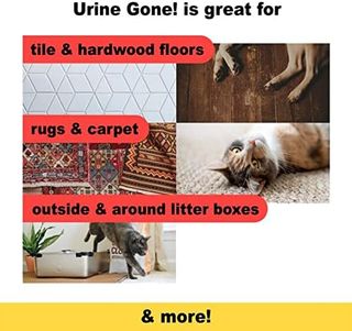 No. 5 - Urine Gone Stain & Odor Eliminator - 3