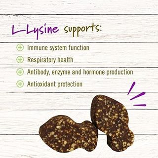 No. 10 - Lysine Immune Booster for Cats - 5