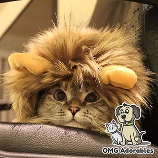 No. 4 - OMG Adorables Lion Mane Costume - 5