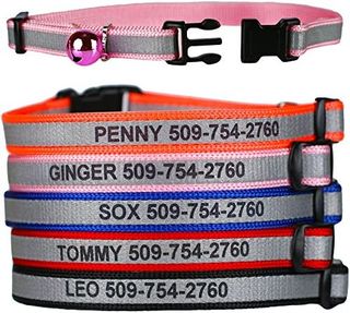 Top 10 Best Cat Collars for Your Feline Companion- 3