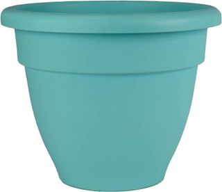 No. 3 - Caribbean Planter - 1