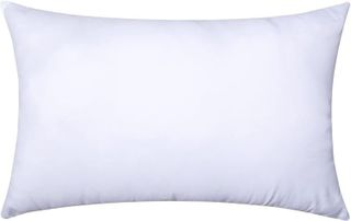 No. 4 - MIULEE Premium Throw Pillow Insert - 1