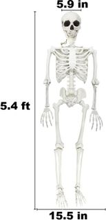 No. 9 - DINESIL 5.4ft Halloween Skeleton - 3