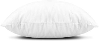 No. 10 - Quality Pillow Inserts - 2