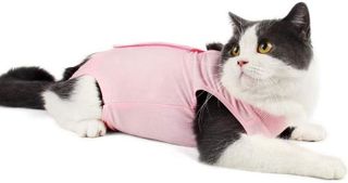 No. 9 - Coppthinktu Cat Recovery Suit - 1