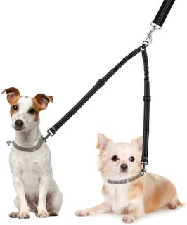 The Best Double Dog Leashes for Walking Two Dogs in 2022- 2