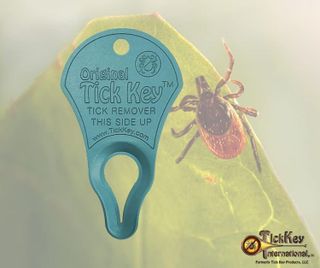 No. 7 - The Tick Key - 5